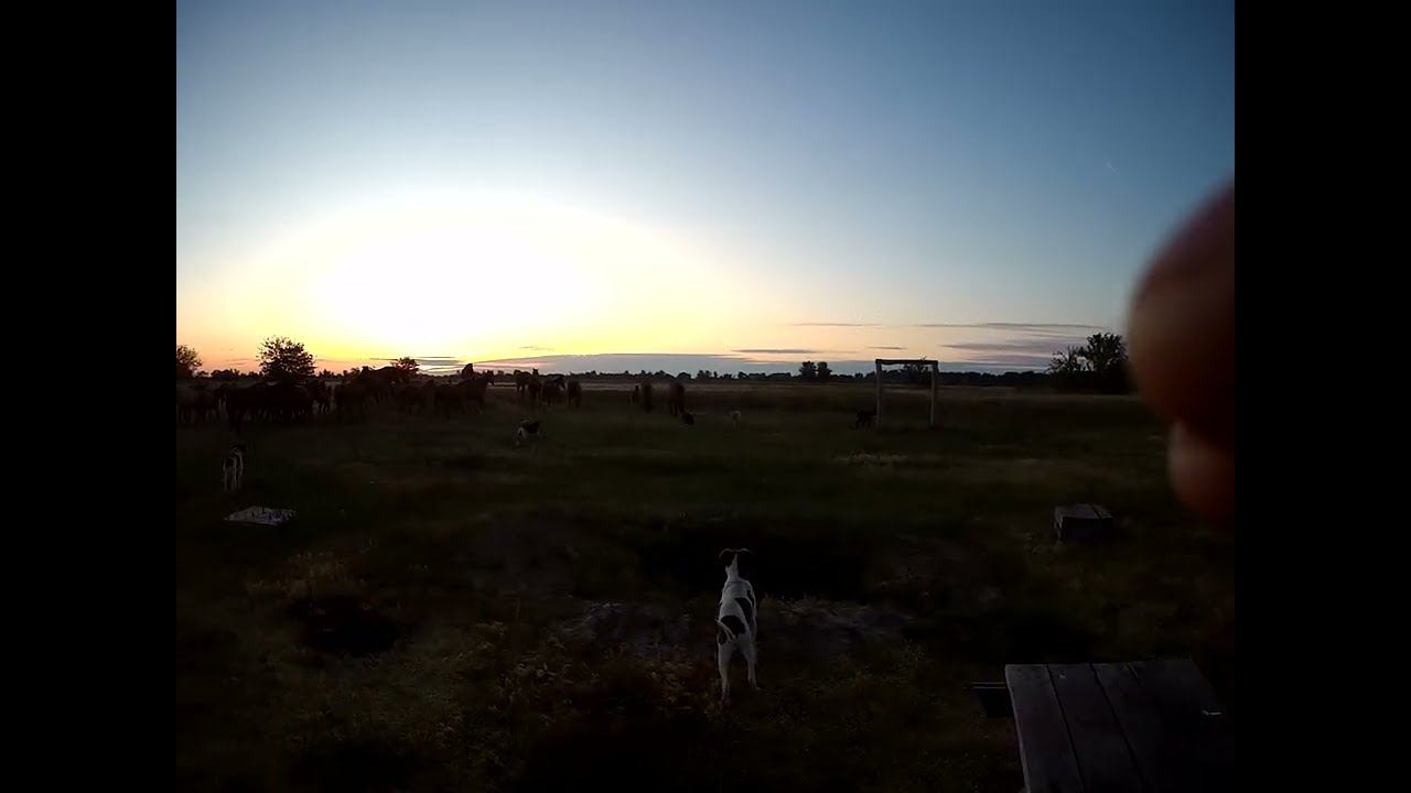 Разбой на радоницу. 14.05.2024 смотреть онлайн