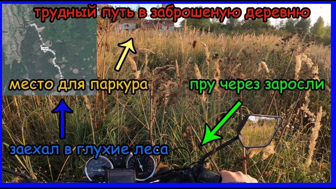 Лесное путешествие на мопеде альфа. Приехал в заброшенную деревню смотреть онлайн