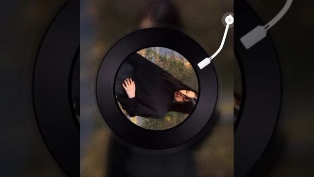 KristiCreim Nekoglai - Kolyan