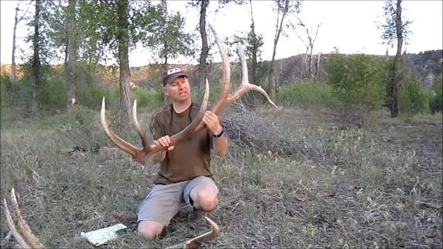 How to Score the an Elk Antler-Inside Spread and Final Score by JayScottOutdoors смотреть онлайн