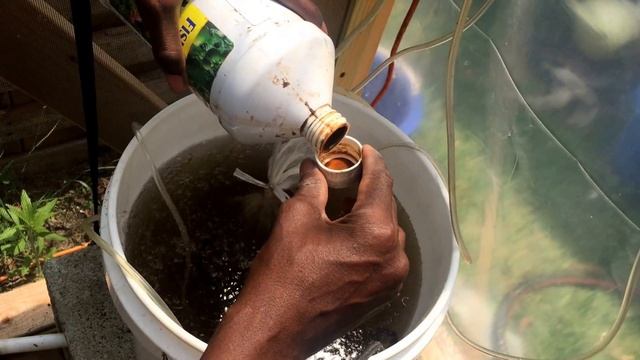 How to make the Best Compost Tea For Your Garden смотреть онлайн