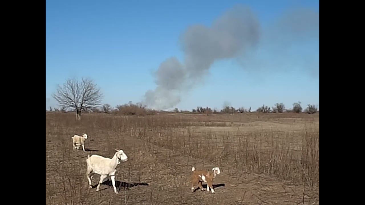 12.03.2024 Экология Астраханской области в опасности смотреть онлайн