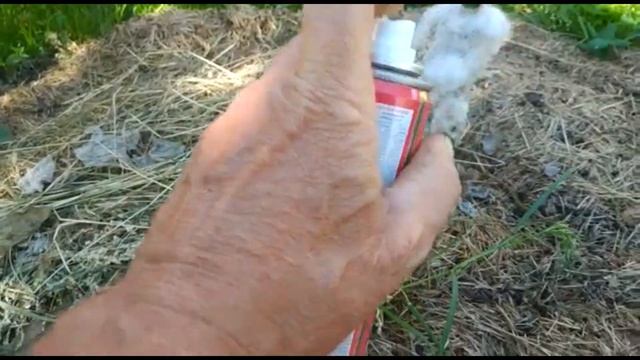 Защита сада от тли. смотреть онлайн