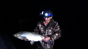 АМУР НА СТРАННУЮ НАЖИВКУ!!!!!! ДОН 2022