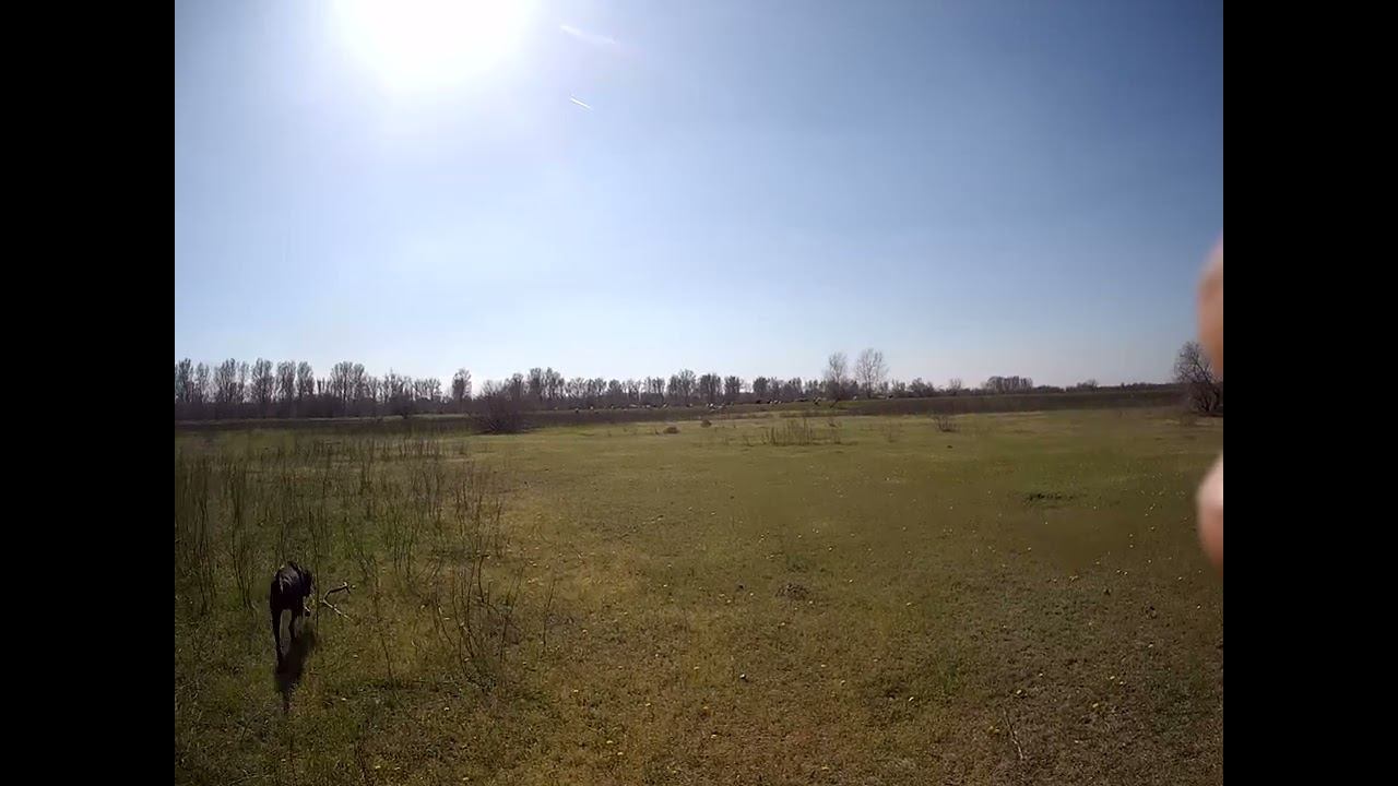 09.04.2024 часть 2 ЧТО ДЕЛАТЬ? : ЛПХ В ОПАСНОСТИ смотреть онлайн