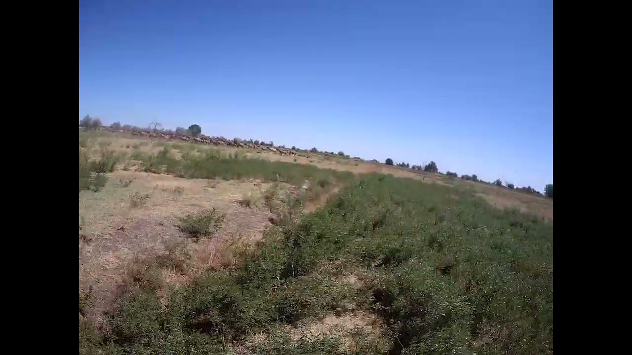 13.07.2024 ЧТО ДЕЛАТЬ? : ЛПХ В ОПАСНОСТИ смотреть онлайн