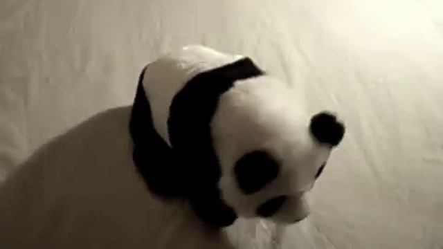 1Toy мягкая игрушка Веселая панда