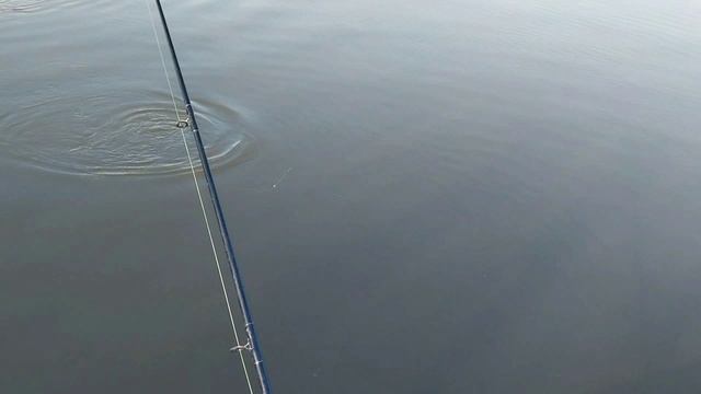 04_24_Астрахань рыбалка смотреть онлайн