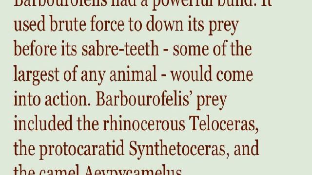 Barbourofelis смотреть онлайн