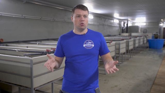 Вкус рыбы из узв, правда о геосмине смотреть онлайн