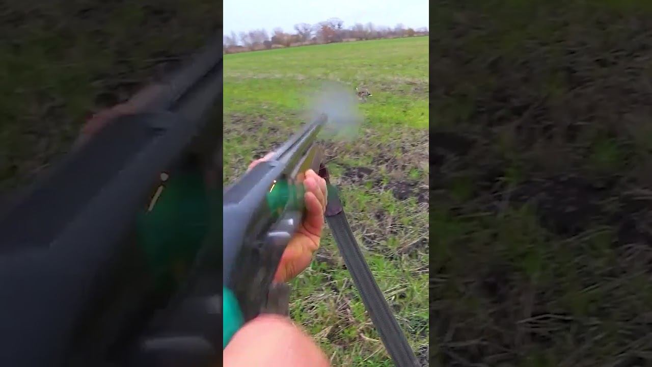 ОХОТА НА ЗАЙЦА НА ОЗИМКЕ !!! смотреть онлайн