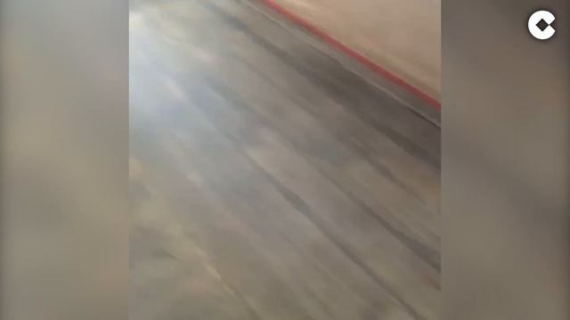 Carlos Herrera compite con su hijo haciendo paellas смотреть онлайн