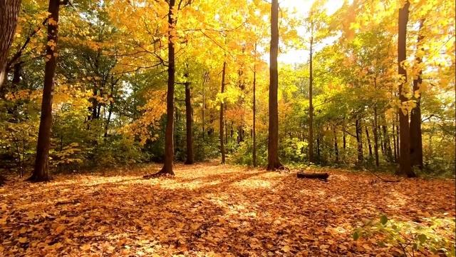 Все в этом мире оставляет след смотреть онлайн