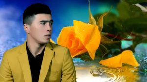 Shohimardon Taggaev - To`ylar Muborak | Шохимардон Тагаев - Туйлар Муборак