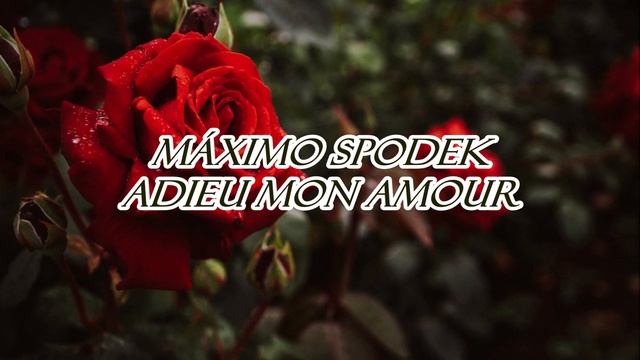 Máximo Spodek, Adieu Mon Amour, Instrumental French Piano Love Songs, Romantic Melodies смотреть онлайн