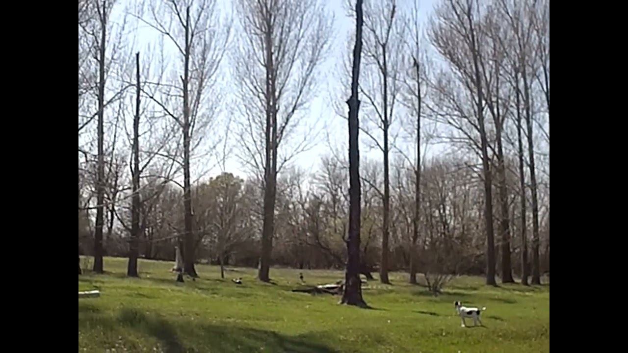 11.04.2024 часть 2 ЧТО ДЕЛАТЬ? : ЛПХ В ОПАСНОСТИ смотреть онлайн