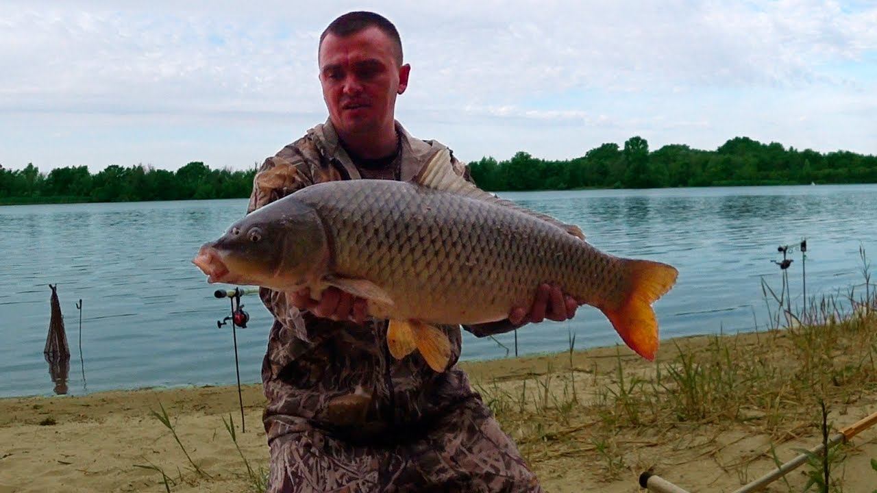 УДОЧКИ В ДУГУ!!! ФРИКЦИОНЫ ДЫМЯТСЯ !!! смотреть онлайн