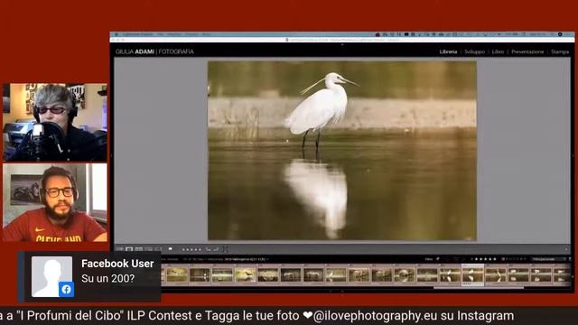 🔴 #AboutPhotography: Fotografare gli animali смотреть онлайн