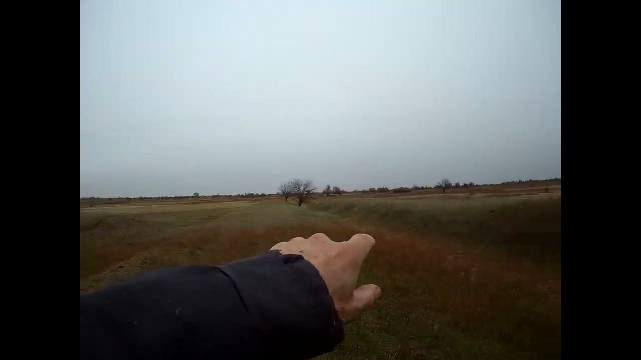 16.11.2024 ЧТО ДЕЛАТЬ? : ЛПХ В ОПАСНОСТИ смотреть онлайн