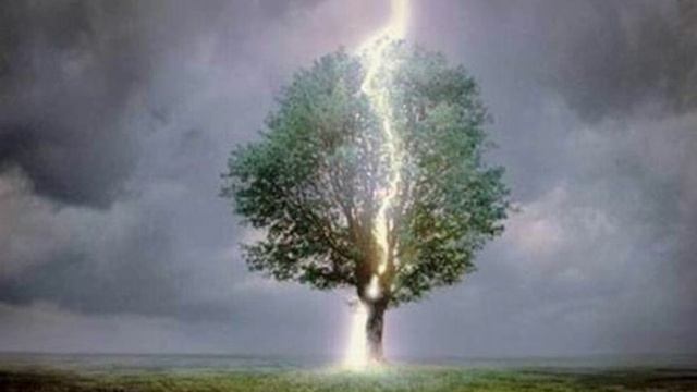 На поляне светлой