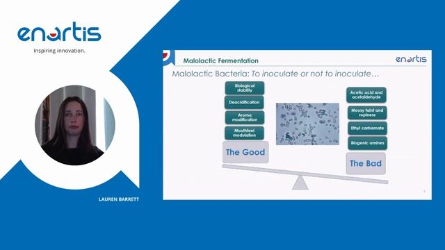 Harvest Quick Tips: Malolactic Fermentation