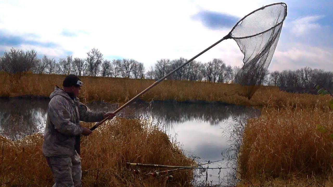 АМУР,САЗАН,КАРАСЬ И ЭЛЕКТРИКИ смотреть онлайн