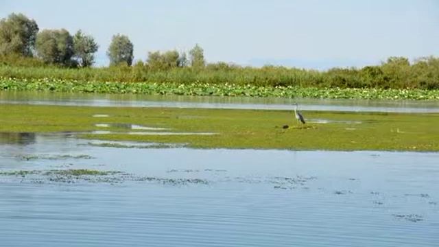 MANTOVA - I BARCAIOLI DEL MINCIO смотреть онлайн