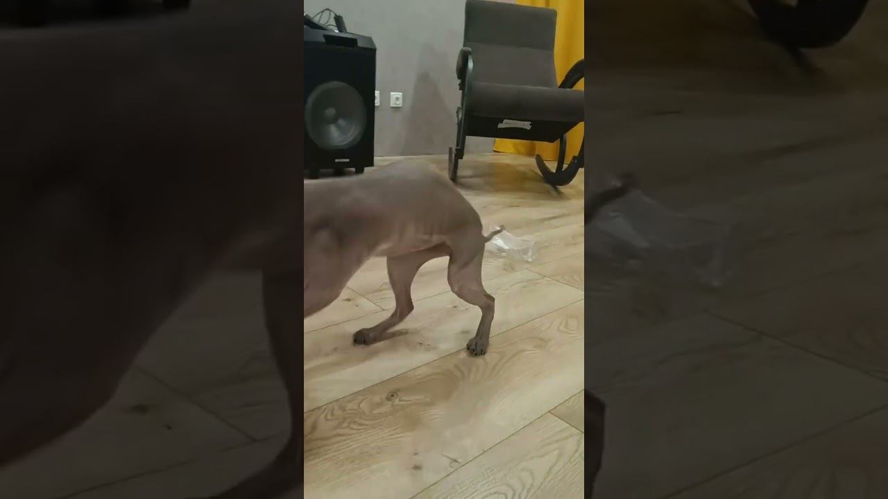 БаТоН смотреть онлайн