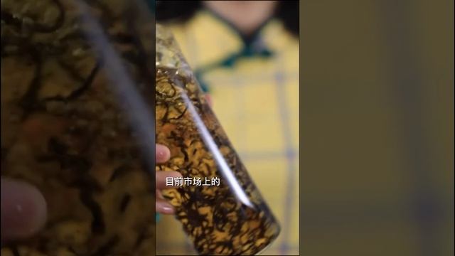 冷茶和隔夜茶能喝嗎？ 茶友可以免費找我領取試用裝茶葉和各種茶知識手冊，加wechat：zj4867 #普洱茶 #茶文化 #茶知识 смотреть онлайн