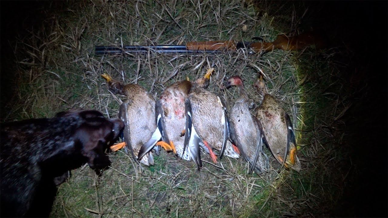 ОХОТА НА УТОК !!! РОСТОВСКАЯ ОБЛАСТЬ !!! смотреть онлайн