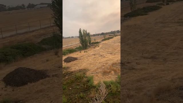 Mini heat wave coming/weather update смотреть онлайн