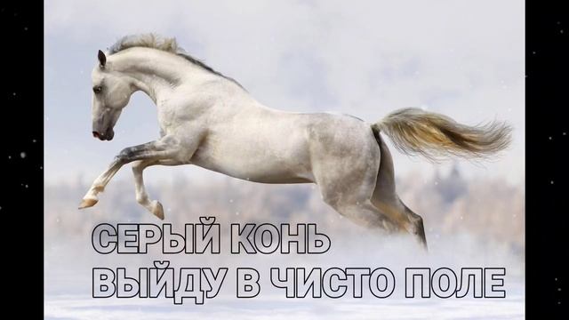 Серый конь-Выйду в чисто поле Цыганские песни.mp4 смотреть онлайн