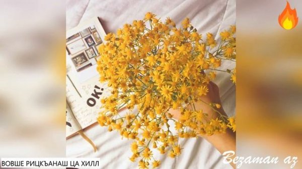 Вовше Рицкъанаш Ца Хилла💔