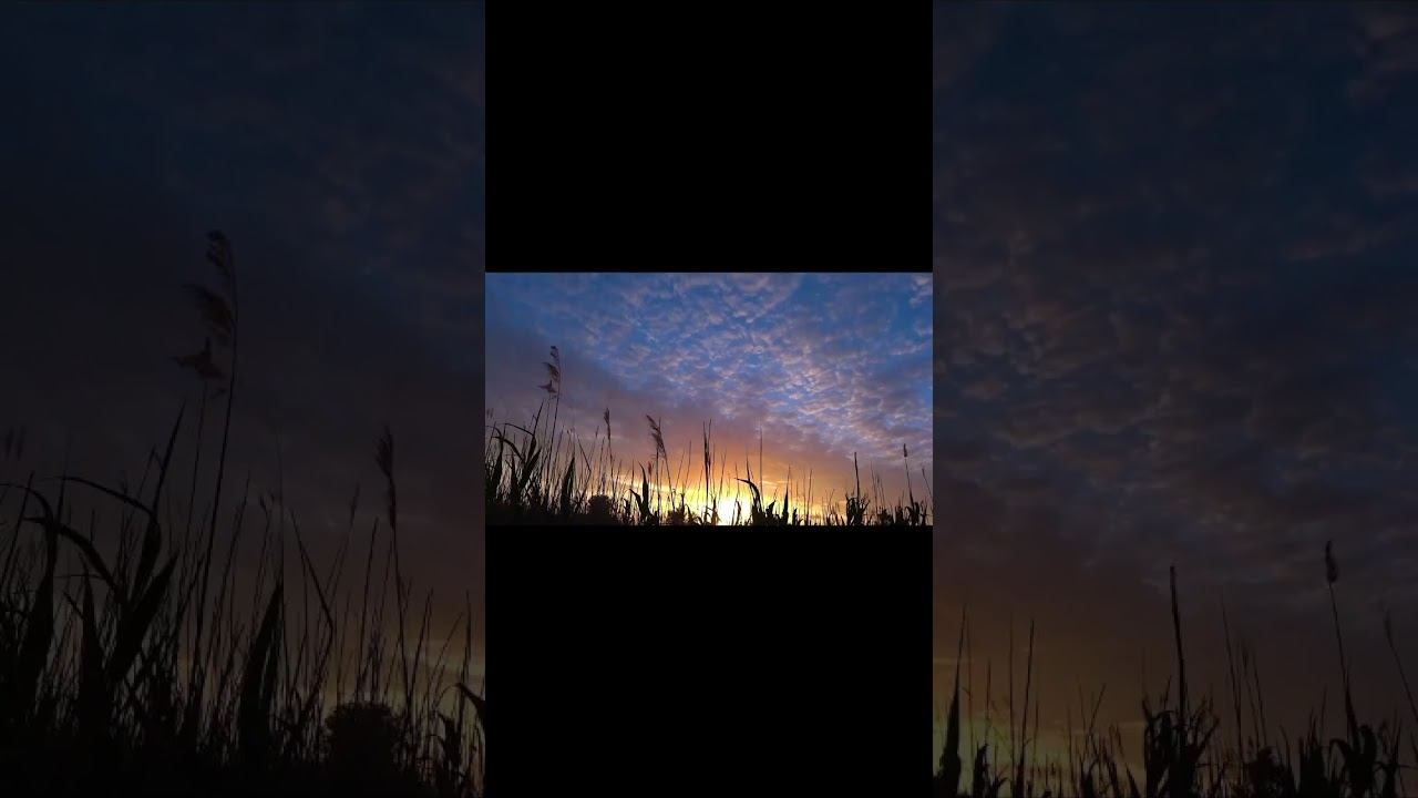 УДОЧКИ В ДУГУ!!! ФРИКЦИОНЫ ДЫМЯТСЯ !!! #shorts смотреть онлайн