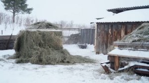 УКРАСИЛИ ЗАИМКУ К НОВОМУ ГОДУ | ПРОГУЛКА В ЛЕС ЗА ЕЛОВЫМИ ВЕТКАМИ | ПИРОГ ИЗ ДЕТСТВА В РУССКОЙ ПЕЧИ