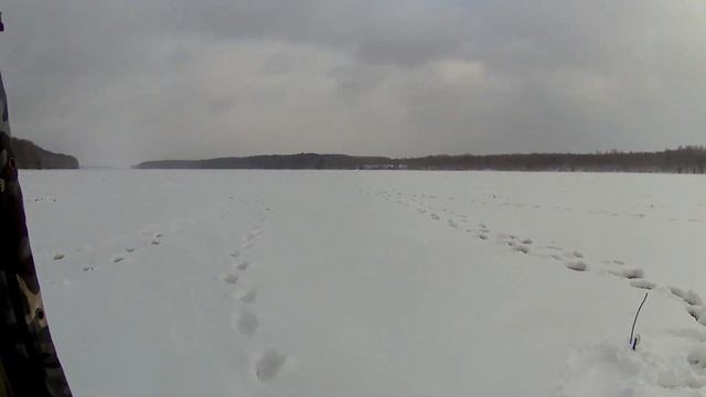 Рыбалка по льду Зимняя рыбалка и ловля на жерлицы в коряжнике.Winter fishing. смотреть онлайн