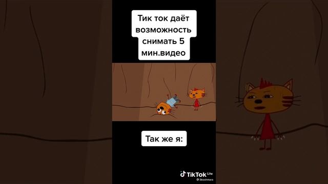 👉👍🔥Три кошары🔥💎(две кошары и одна кошка)💎🔥👈