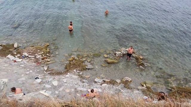 Геленджик сентябрь 2024 Дикий пляж / Дельфины / Открытое море смотреть онлайн