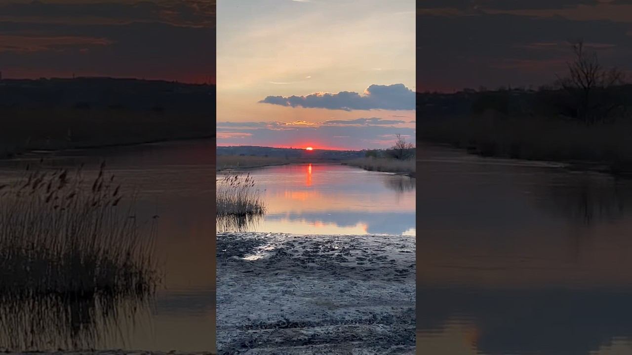 “Золотой час 2024” #рыбалка #fishing #carpfishing #carp #карп #охота смотреть онлайн