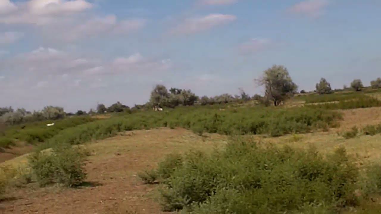 25.07.2023 ЧТО ДЕЛАТЬ? : ЛПХ В ОПАСНОСТИ смотреть онлайн