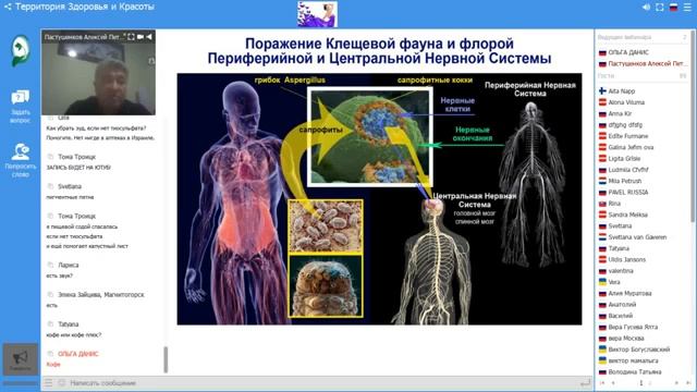 Методика применения Монтбальзамов Новый бальзам Кофе Плюс и Универсальный смотреть онлайн
