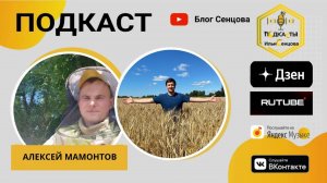 #17 Воскресный подкаст с Алексеем Мамонтовым