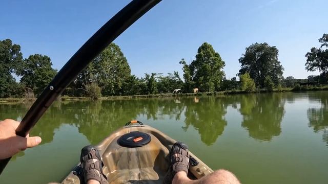 Pelican Catch 100 First Impressions! (Kayak Catfishing) смотреть онлайн