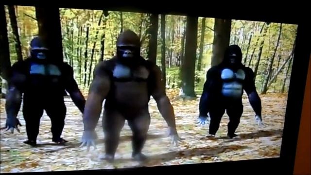 THE BEST DANCING GORILLA VIDEO EVER!! смотреть онлайн