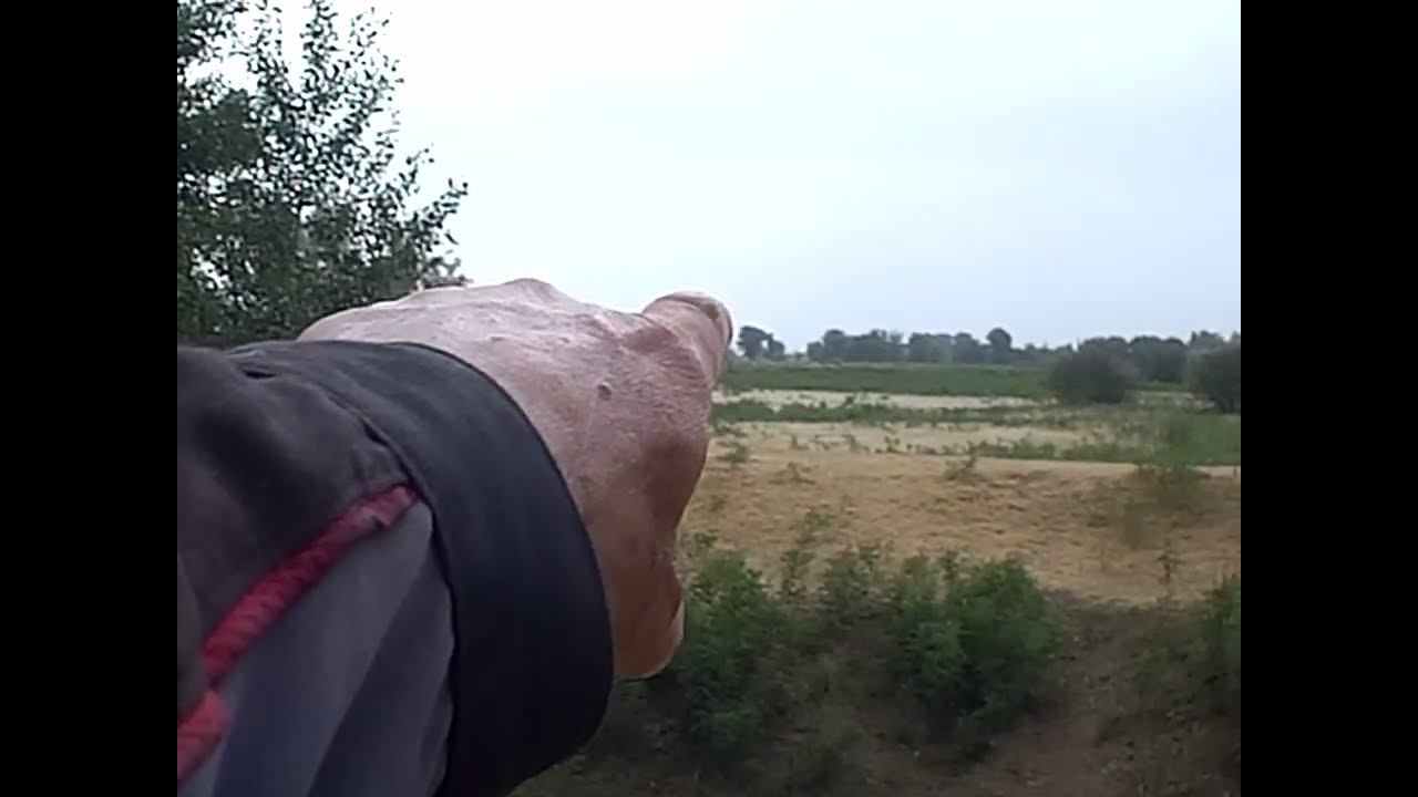 01.06.2024 ЧТО ДЕЛАТЬ? : ЛПХ В ОПАСНОСТИ смотреть онлайн