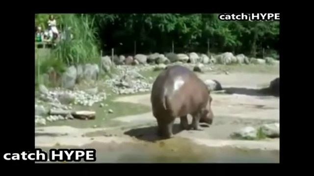 Хорошо пукнул смотреть онлайн