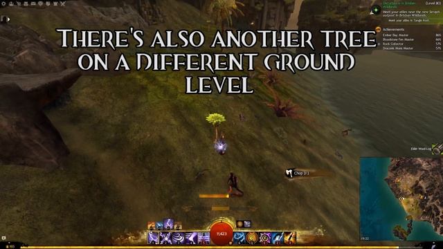 Guild Wars 2 Guide: Elder Wood Log Farming | AUGUST 2017 | NEW LOCATIONS | TIMESTAMPS смотреть онлайн