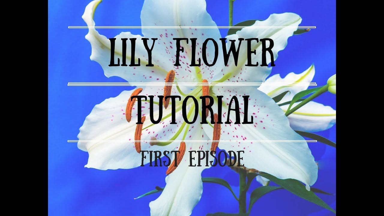 Лилия витраль ч1 смотреть онлайн