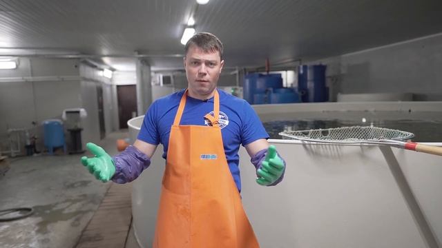 Скорость роста рыбы в УЗВ Филешка Life смотреть онлайн