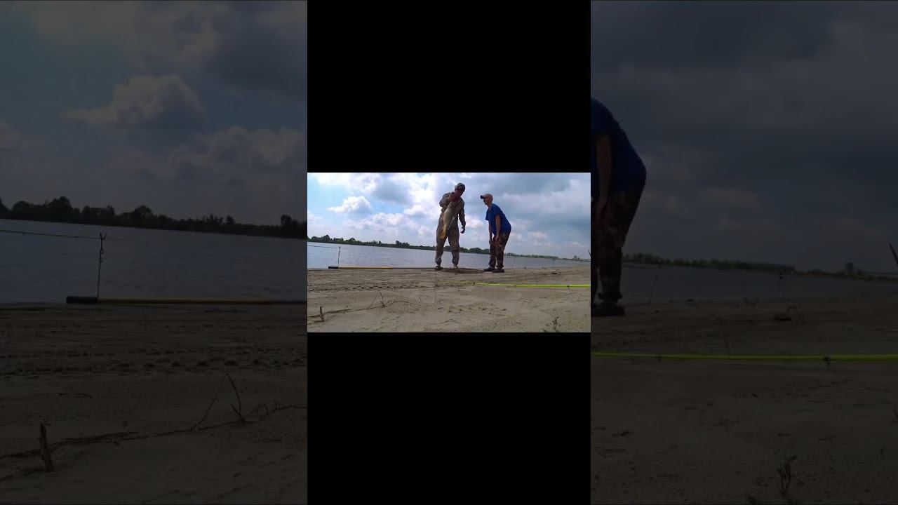 ОТ ЭТИХ МОНСТРОВ БОЛЯТ РУКИ !!! ДОН 2022 !!! 1 ЧАСТЬ #shorts смотреть онлайн